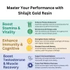 Shilajit Gold Resin (Pack of 1)