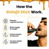 Shilajit Gold Honey Sticks